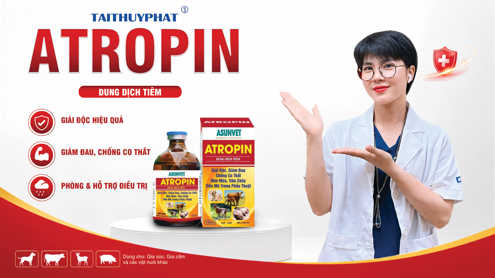 Heo tiêu chảy kéo dài, phân bùn – phân xám – phân sệt như xi măng, xử lý hoài không dứt?