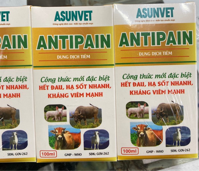 ANTIPAIN - HỖ TRỢ GIẢM ĐAU HẠ SỐT KHẮNG VIÊM - Image 11