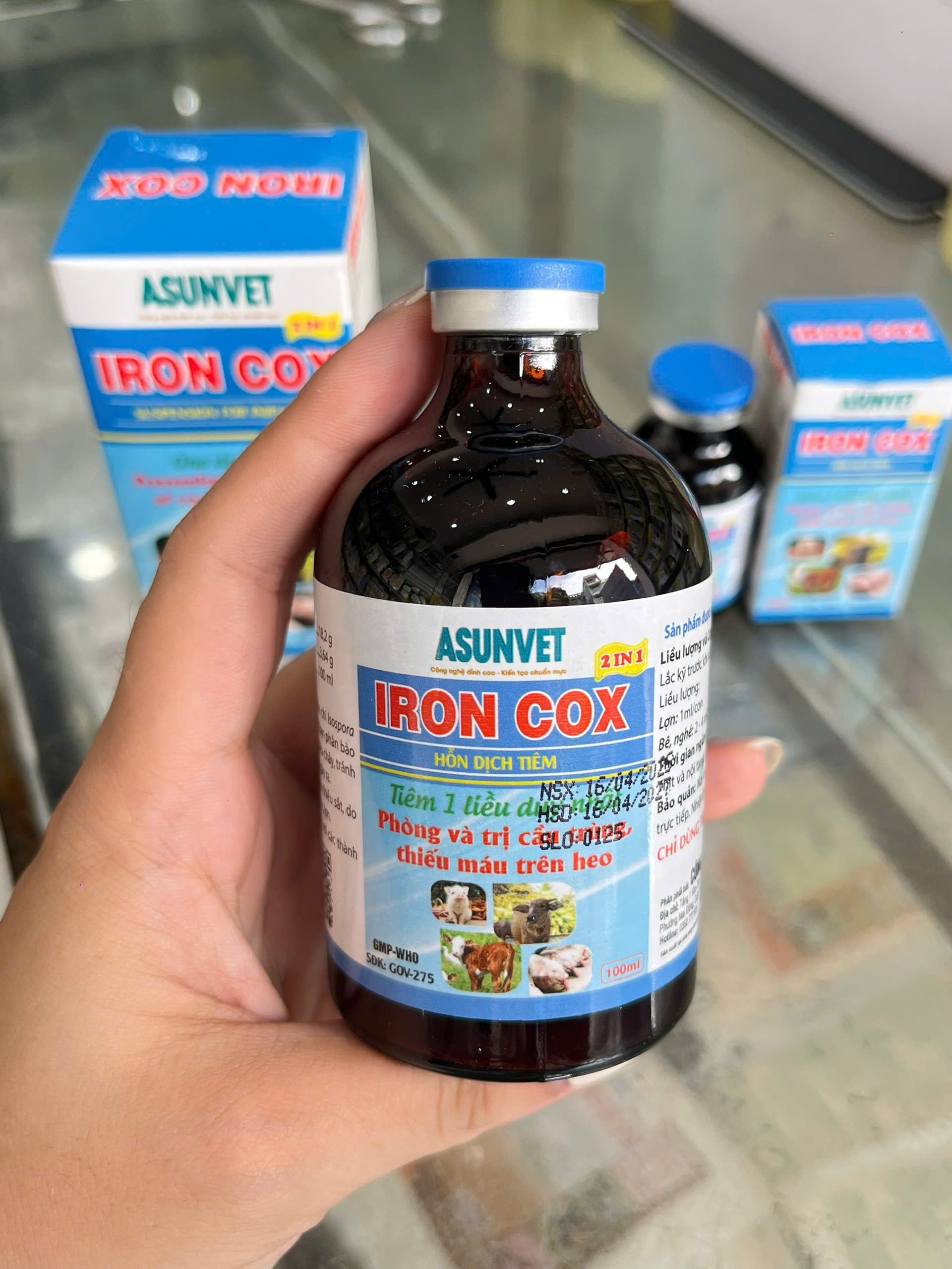 IRON COX Asunvet dung dịch tiêm phòng và trị cầu trùng thiếu máu trên heo