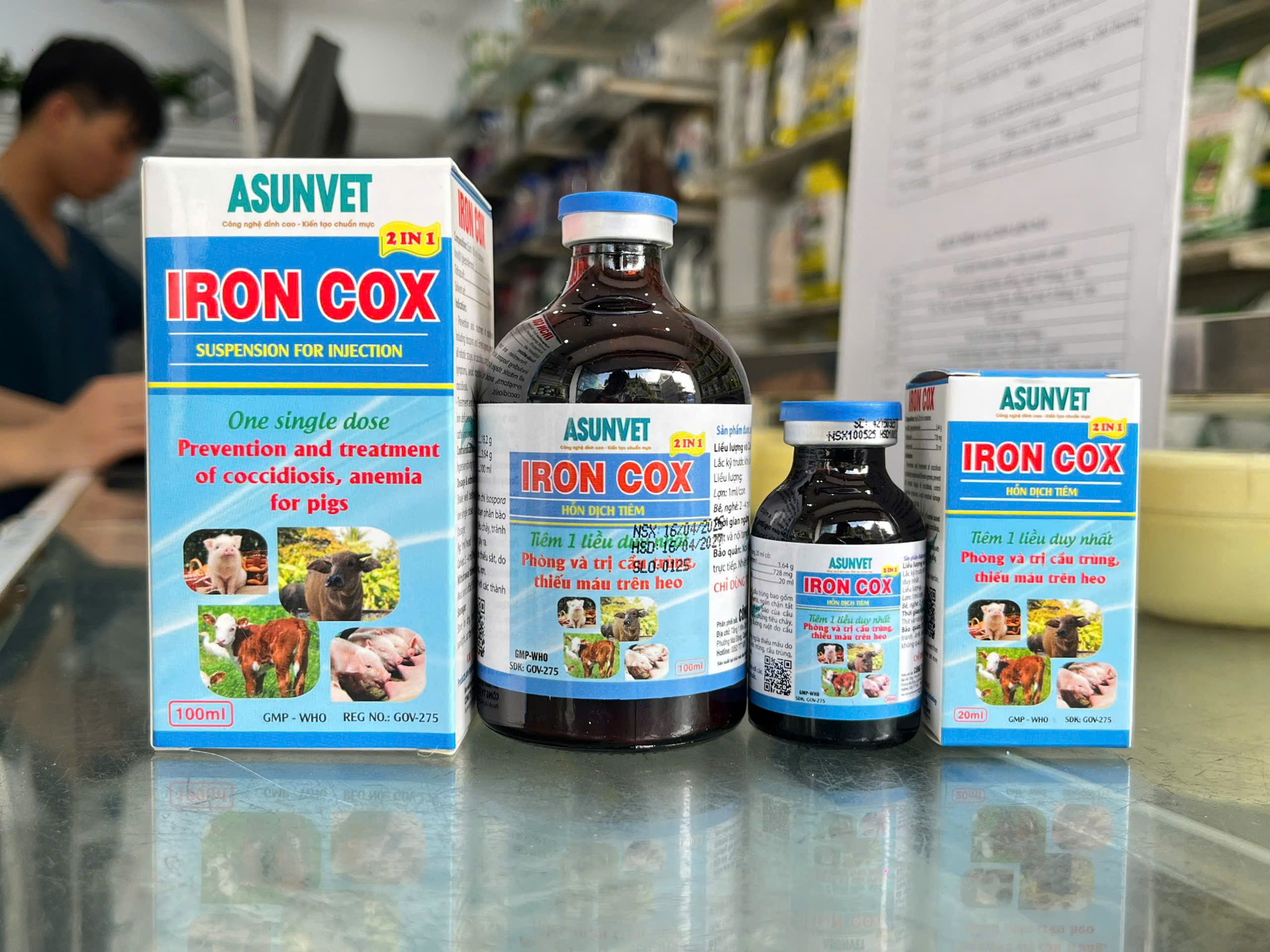 IRON COX Asunvet dung dịch tiêm phòng và trị cầu trùng thiếu máu trên heo