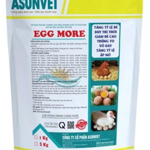 SIÊU TRỨNG EGG MORE
