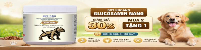 Thiết kế chưa có tên (4) (1)