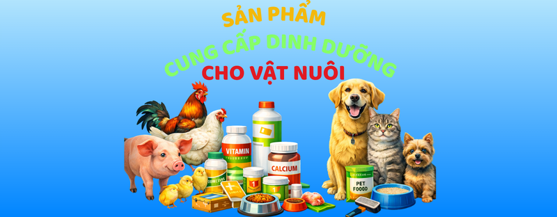 Thiết kế chưa có tên (5)