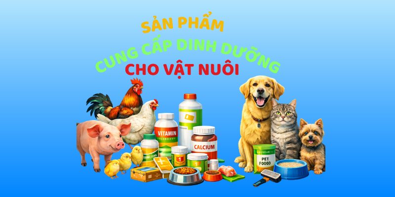 Thiết kế chưa có tên (6)
