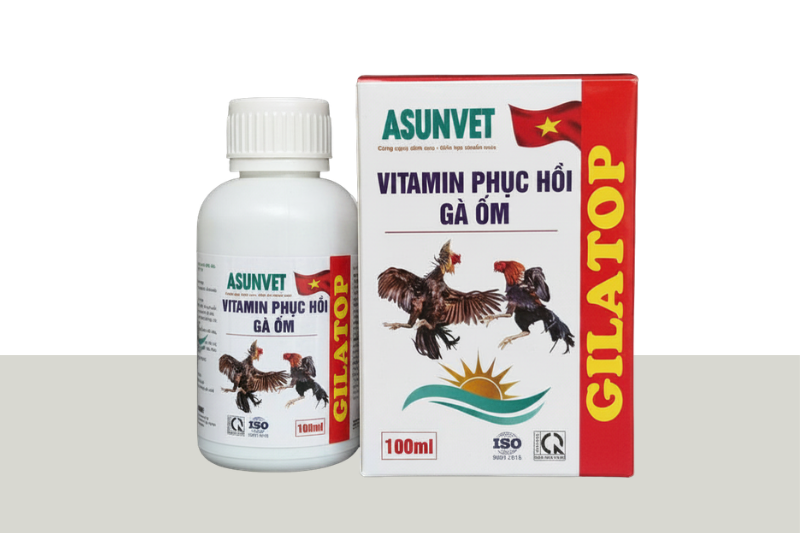 GILATOP MAXPLUS Asunvet dung dịch pha đẹp mã dày lườn đẻ nhiều bền mái 100ml