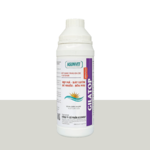 GILATOP MAXPLUS Asunvet dung dịch pha đẹp mã dày lườn đẻ nhiều bền mái 1 lít