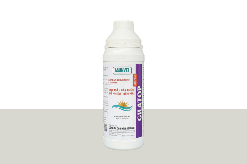 GILATOP MAXPLUS Asunvet dung dịch pha đẹp mã dày lườn đẻ nhiều bền mái 1 lít