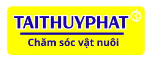 TÀI THỦY PHÁT