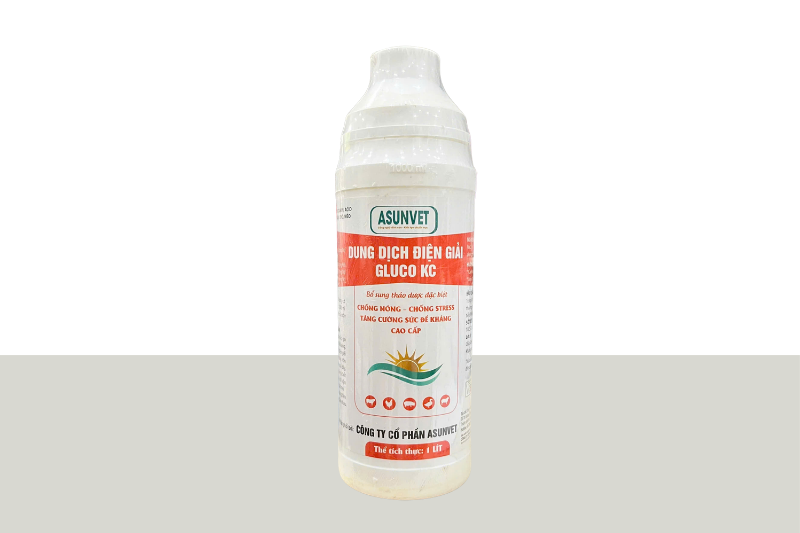 DIỆN GIẢI GLUCO KC Asunvet dung dịch pha chống nóng chống stress tăng sức đề kháng 1 lít