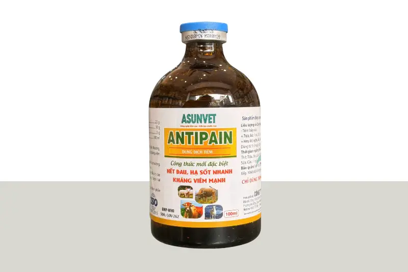 ANTIPAIN Asunvet dung dịch tiêm giảm đau hạ sốt kháng viêm cho vật nuôi 100ml