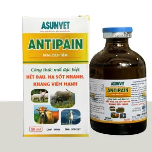 ANTIPAIN Asunvet dung dịch tiêm giảm đau hạ sốt kháng viêm cho vật nuôi 50ml