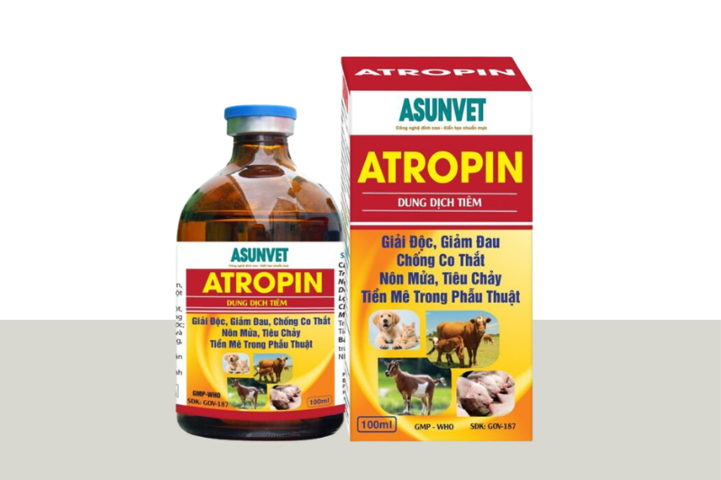 ATROPIN Asunvet dung dịch tiêm giải độc giảm đau chống co thắt nôn mửa tiêu chảy tiền mê phẫu thuật 100ml