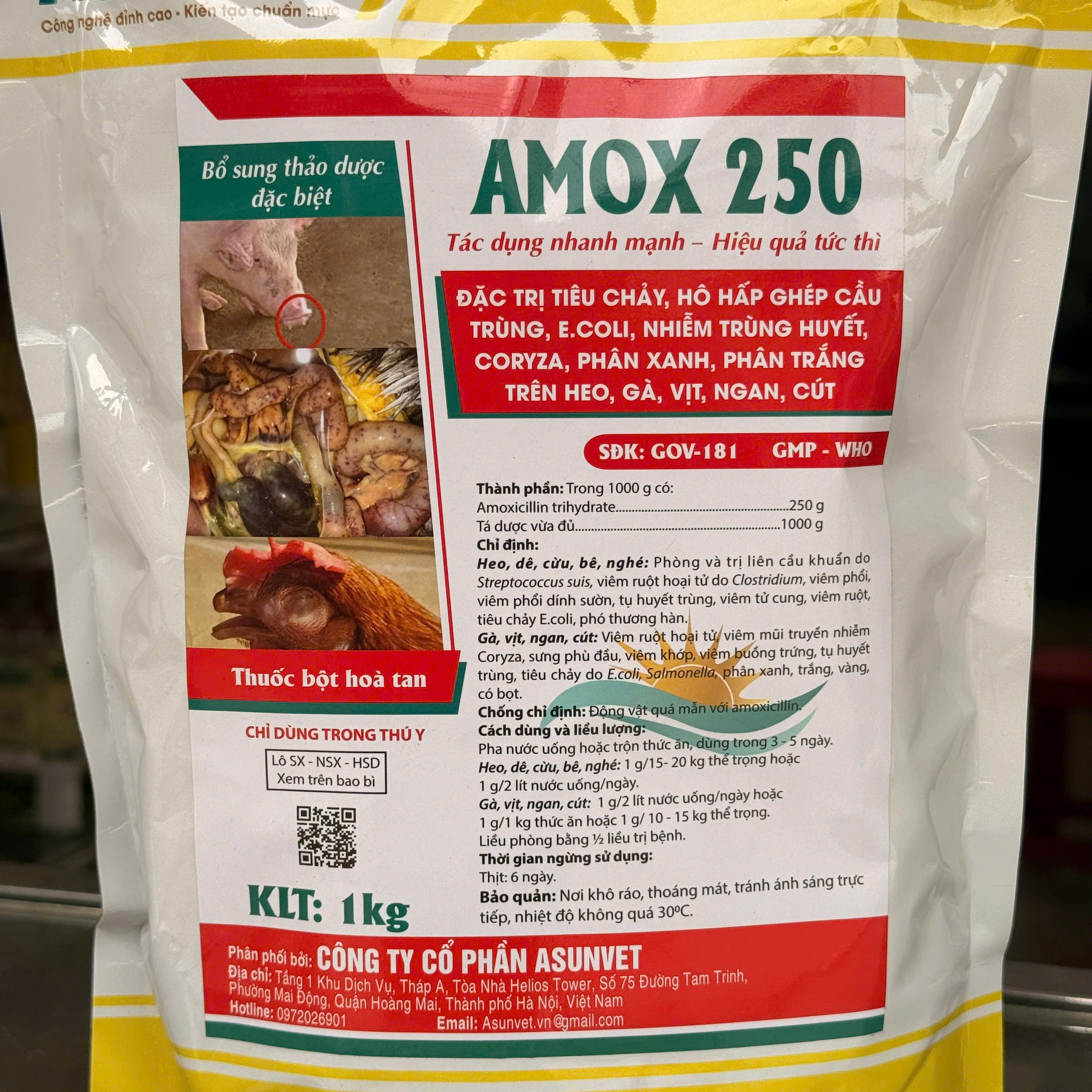 AMOX 250 của Asunvet – Kháng sinh thú y hỗ trợ kiểm soát vi khuẩn cho vật nuôi - Image 4