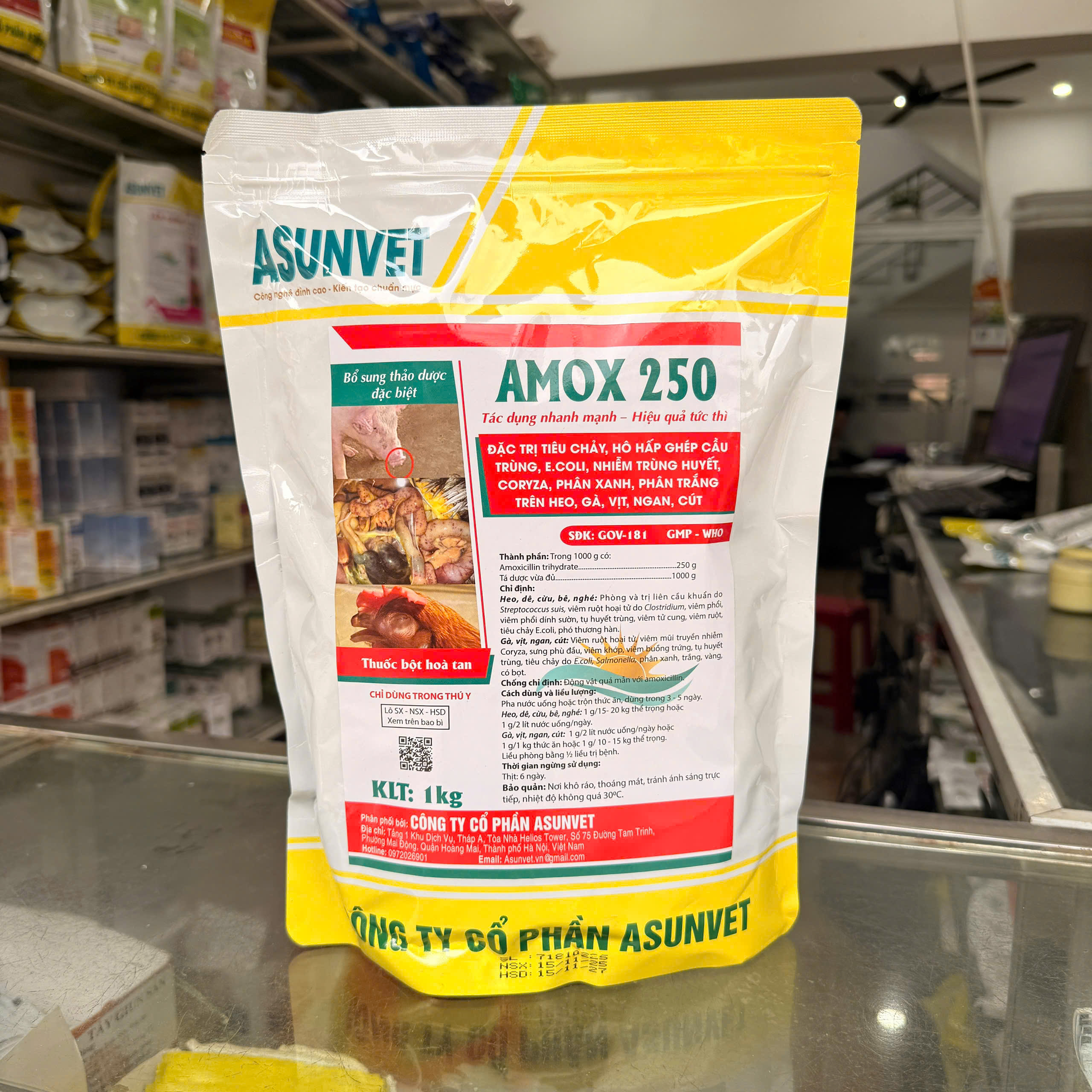 AMOX 250 của Asunvet – Kháng sinh thú y hỗ trợ kiểm soát vi khuẩn cho vật nuôi - Image 6