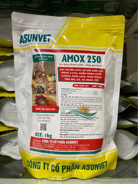 AMOX 250 của Asunvet – Kháng sinh thú y hỗ trợ kiểm soát vi khuẩn cho vật nuôi - Image 5