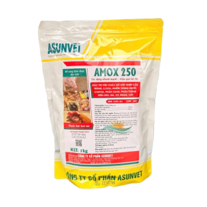 AMOX 250 của Asunvet – Kháng sinh thú y hỗ trợ kiểm soát vi khuẩn cho vật nuôi