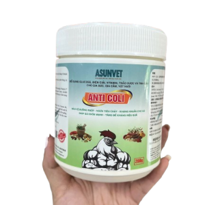 Anti Coli ASUNVET - Bổ sung dinh dưỡng, hỗ trợ đường ruột và tăng đề kháng cho gia súc, gia cầm