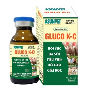 GLUCO K-C Asunvet – Điện giải vitamin hỗ trợ bù nước, giảm stress cho vật nuôi